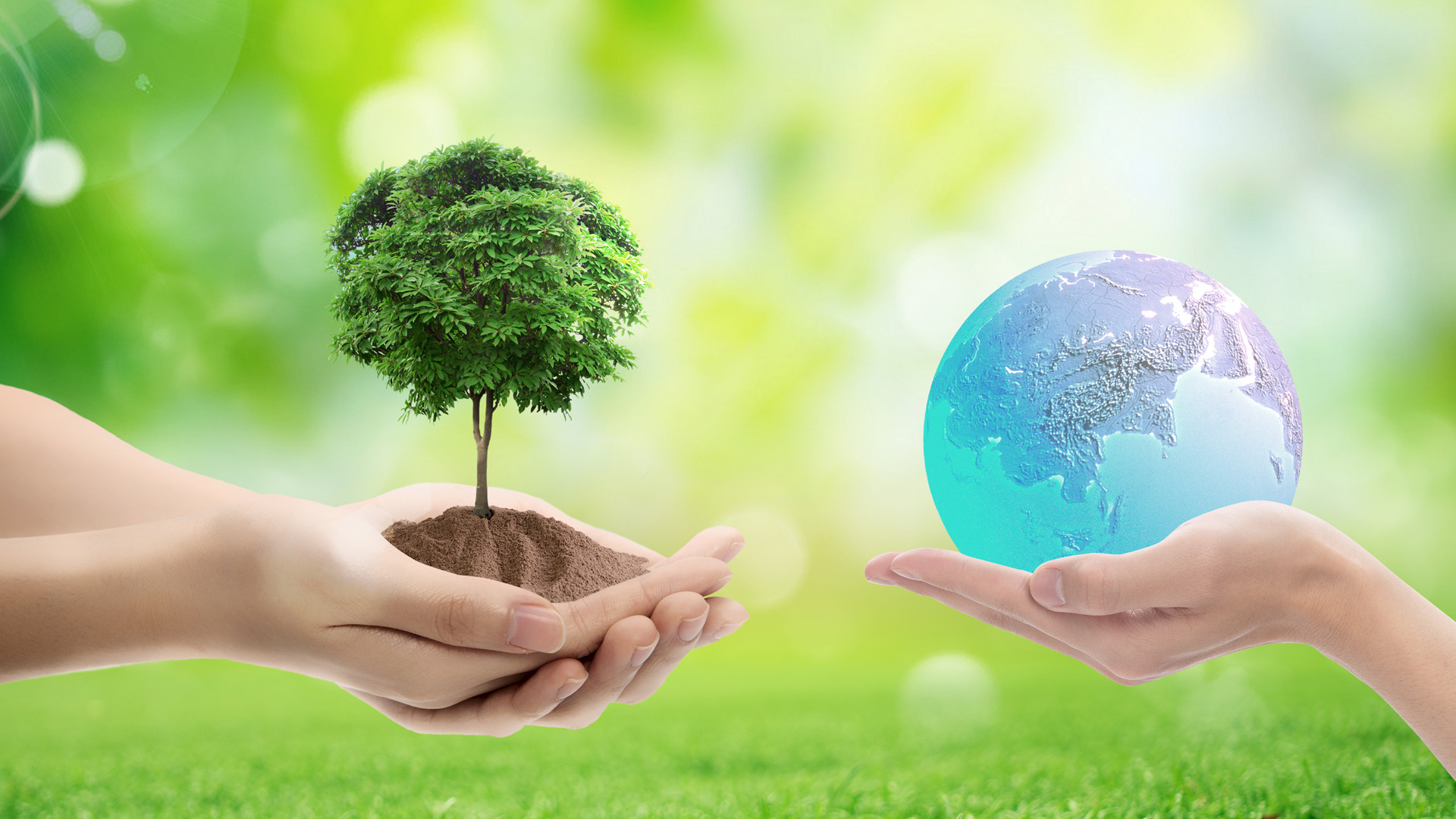 保護環(huán)境 守護綠水青山